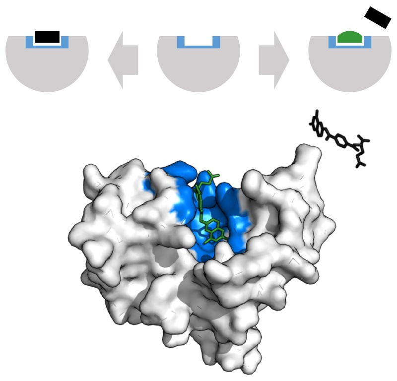 market-for-enzyme-inhibitors-faces-generic-competition-payer-pushback